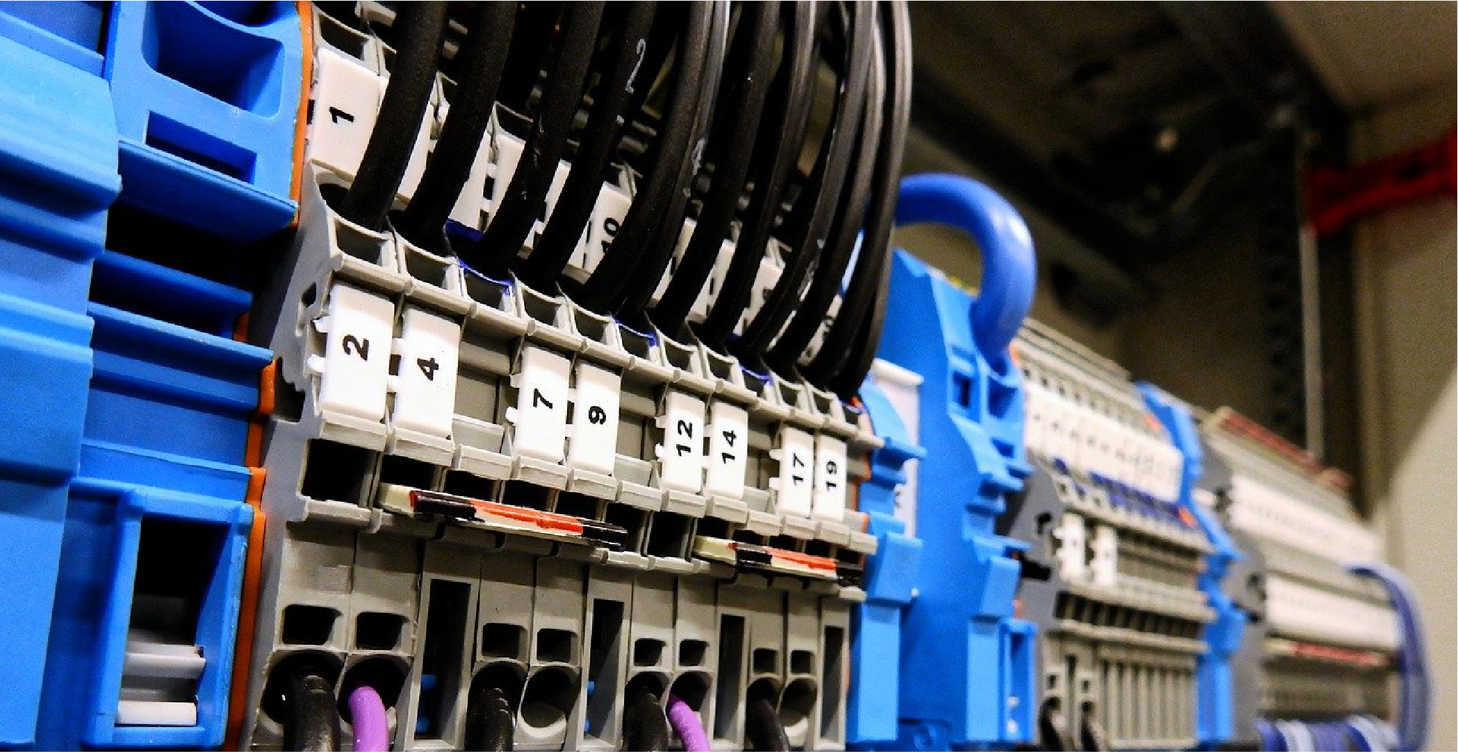 Image de la catégorie